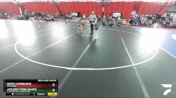 112-117 lbs 3rd Place Match - Amiya Leverance, Wisconsin vs Jazleen Fong-Baake, X-Factor Elite Wrestling