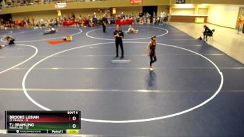 76 lbs Semis & 1st Wrestleback (8 Team) - Brooks Lusian, St. Francis vs TJ Gramling, Prior Lake