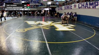 138 lbs Quarterfinal - Trey Coleman, Wagener-Salley vs Thadeus Gerstenacker, Chesnee