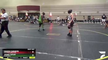 150 lbs Quarterfinal - Mason Carnrite, All-Phase Wrestling vs Ayden Tatum, Black Gold