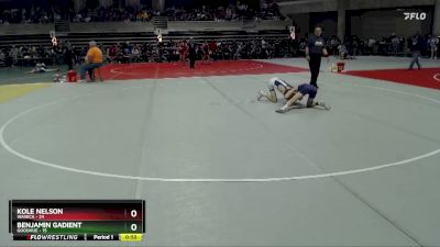 85 lbs Quarterfinal - Kole Nelson, Waseca vs Benjamin Gadient, Goodhue