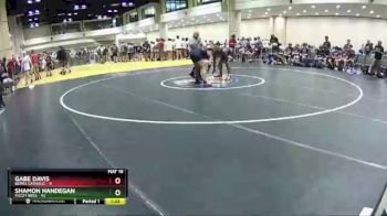 182 lbs Round 7 (8 Team) - Gabe Davis, Berks Catholic vs Shamon Handegan, Fuzzy Bees