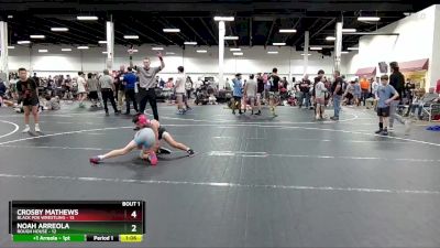 68 lbs Semis (4 Team) - Noah Arreola, Rough House vs Crosby Mathews, Black Fox Wrestling