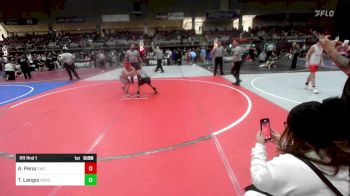 87 lbs Rr Rnd 1 - Aiden Pena, Cwc vs Tyson Langis, Dragon Wrestling Club