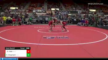 115 lbs Cons. Round 2 - Amethyst Hale, McPherson vs Rylee Shepherd, Eureka