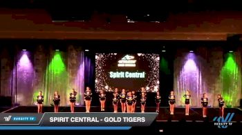 Spirit Central - Gold Tigers [2023 L1 Junior - Small - A] 2023 Athletic Grand Nationals