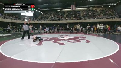 44 lbs Consi Of 8 #1 - Jackson Merkert, Pottsville vs Ashton D'Arcangelo, Bear