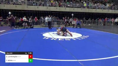 110 lbs Round Of 16 - Zack Lombreglia, Newton, NJ vs Travis White, Binghamton, NY