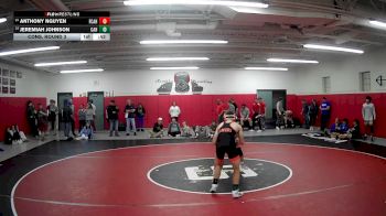 152 lbs Cons. Round 3 - Anthony Nguyen, Fox Chapel Area Hs vs Jeremiah Johnson, Corry Area Hs