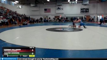 133 lbs Quarterfinal - Dominik Mallinder, Wisconsin-Whitewater vs Hunter Goodwin, Luther