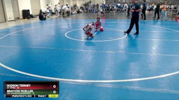 80 lbs Finals (8 Team) - Brayvon Mueller, LSH (LeSueur/Henderson) vs Hudson Tierney, St. James
