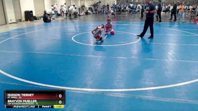 80 lbs Finals (8 Team) - Brayvon Mueller, LSH (LeSueur/Henderson) vs Hudson Tierney, St. James