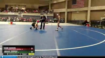 95 lbs Finals (8 Team) - Abigail Gindele, Annandale/Maple Lake vs Dane Hanson, Fulda/Murray County Central