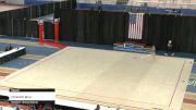 Elizabeth Birov - Ribbon - 2021 Rhythmic Elite Qualifier