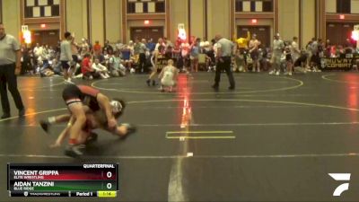 95 lbs Quarterfinal - Aidan Tanzini, Blue Ridge vs Vincent Grippa, Elite Wrestling