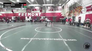 110 lbs Quarterfinal - Vanessa Rocha, Alisal vs Lila Tsao, Homestead