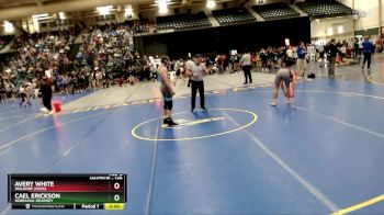 149 lbs Champ. Round 1 - Avery White, Waldorf (Iowa) vs Cael Erickson, Nebraska-Kearney