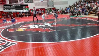 133 lbs Semifinal - Gabriel Roehl, Buffalo vs Wyatt Pilarski, Holdingford