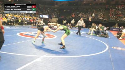 105 Class 1 lbs Cons. Round 1 - Analese Happy, Excelsior Springs vs Brooke Giboney, North Callaway