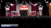 Pro Cheer - IceHawks [2025 L2 Junior - Flex - D2 - Small Day 2] 2025 ASC Battle Under the Big Top Grand Nationals