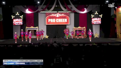 Pro Cheer - IceHawks [2025 L2 Junior - Flex - D2 - Small Day 2] 2025 ASC Battle Under the Big Top Grand Nationals
