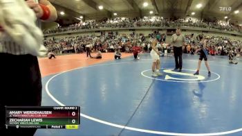 95 lbs Champ. Round 2 - Amary Werdehausen, JC Youth Wrestling Club-AAA  vs Zechariah Lewis, Victory Wrestling-AAA