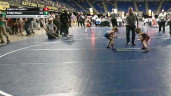 45 lbs Semifinal - Codie Caldarelli, East Penn vs Rylee Wells, Keystone