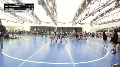 73 lbs Final - Enzo Musilowski, Triumph Trained Blue vs Tate ODell, CTWhale