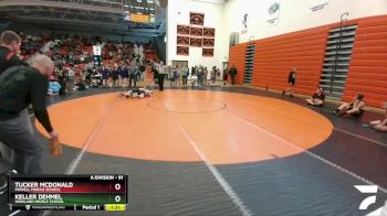 91 lbs Round 2 - Tucker McDonald, Powell Middle School vs Keller Dehmel, Worland Middle School