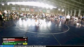 67 lbs Champ Round 1 (16 Team) - Easton Mamalis, Green River vs Avery Anderson, Bear Cave