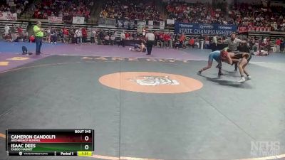 D 2 160 lbs Semifinal - Isaac Dees, Caddo Magnet vs Cameron Gandolfi, Archbishop Rummel