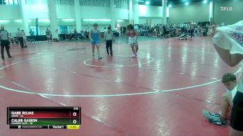 215 lbs Round 6 (10 Team) - Caleb Gaskin, Camden Socs vs Gabe Rojas, AAWA