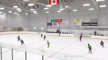 Replay: Home - 2025 Blue U11 vs Green U11 | Jun 29 @ 7 PM