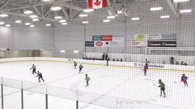 Replay: Home - 2025 Blue U11 vs Green U11 | Jun 29 @ 7 PM