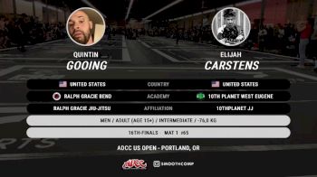 Elijah Carstens vs Quintin Gooing 2025 ADCC Portland Open