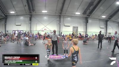 55 lbs Round 5 - Bradley Crowe, Soddy Daisy Wrestling vs Paxton Holcombe, Carolina Reapers
