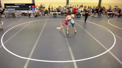 165 lbs Champ. Round 1 - Mark Svoboda, MN vs Eli Roberts, IL