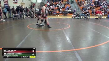 175 lbs Quarterfinal - Francesco Salvino, Washington (Massillon) vs Dillon Badiu, Buckeye (Medina)