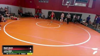 125 lbs Round 1 (6 Team) - Luca Rios, Team St. Louis vs Riley Dilka, Kansas Gold