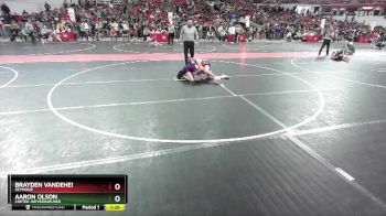 110 lbs Cons. Round 4 - Aaron Olson, Chetek-Weyerhaeuser vs Brayden VanDeHei, Seymour