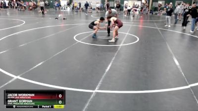 132 lbs Cons. Round 4 - Grant Gorman, WWC Predator Wrestling vs Jacob Workman, Silver Lake Wrestling