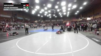 116 lbs Semifinal - Hope Ellison, Widefield WC vs Ryland Huppenthal, Brighton WC