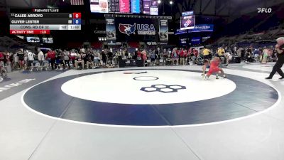 126 lbs Cons. Rd Of 32 - Caleb Arroyo, IA vs Oliver Lester, OH