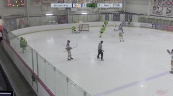 Replay: Home - 2025 NJ 87s vs Pennsylvania | Mar 20 @ 3 PM