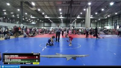 55 lbs Round 3 (4 Team) - Beau Grguric, NORTH CAROLINA WRESTLING FACTORY - BLUE vs Bodie Anderson, SHENANDOAH VALLEY WRESTLING CLUB