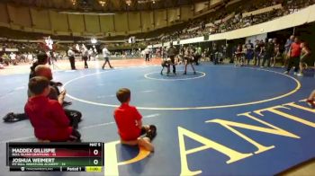 72 lbs Quarterfinal - Joshua Weimert, Pit Bull Wrestling Academy vs Maddex Gillispie, Bull Island Grappling