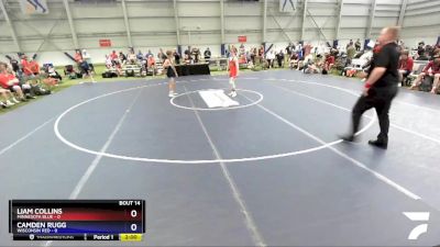 100 lbs Placement Matches (8 Team) - Liam Collins, Minnesota Blue vs Camden Rugg, Wisconsin Red