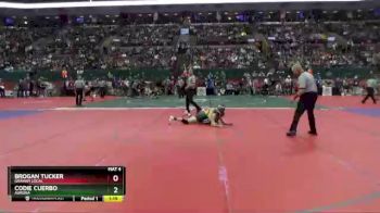 D2-113 lbs Semifinal - Codie Cuerbo, Aurora vs Brogan Tucker, Graham Local