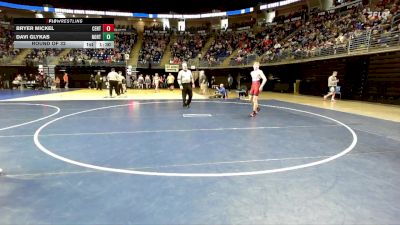 130 lbs Round Of 32 - Bryer Mickel, Central Martinsburg vs Davi Glykas, Northampton