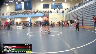 165 lbs Cons. Round 4 - Luke Petersen, Thunder Ridge vs Camron Pedigo, Mountain Home